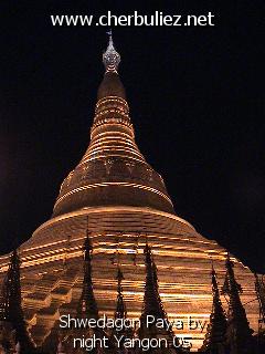 légende: Shwedagon Paya by night Yangon 05
qualityCode=raw
sizeCode=half

Données de l'image originale:
Taille originale: 153910 bytes
Temps d'exposition: 1/50 s
Diaph: f/180/100
Heure de prise de vue: 2002:08:19 19:39:05
Flash: non
Focale: 42/10 mm
